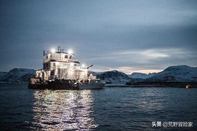 挪威北极鳕鱼属于大西洋鳕鱼吗,探秘挪威鳕鱼