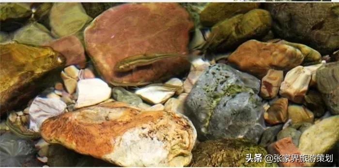 自由行张家界吃住旅游攻略,张家界旅游自由行详细攻略