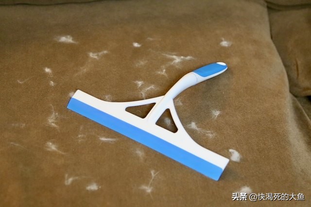 简单三件物品,帮你快速去除家具上的宠物毛发