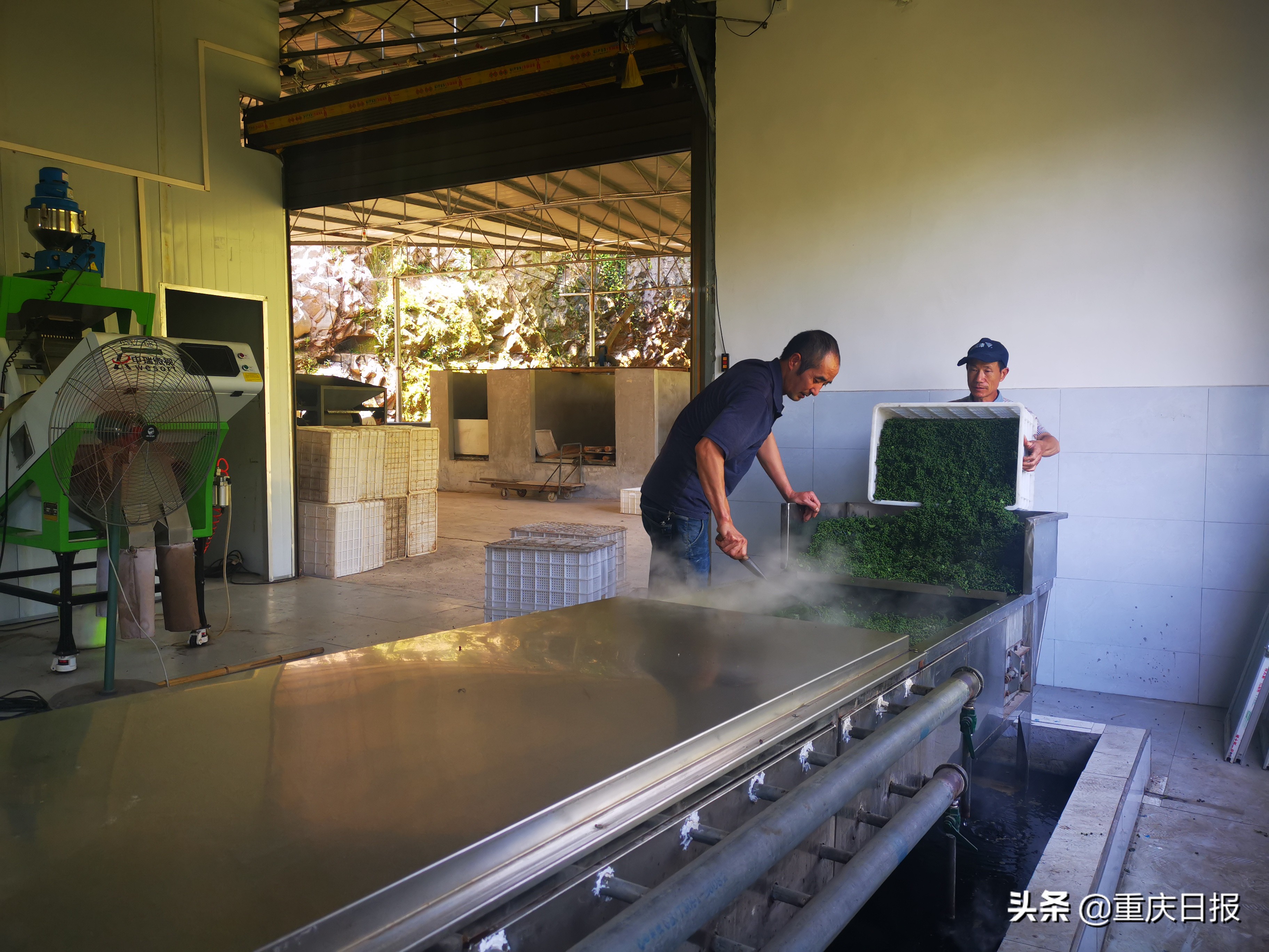 舌尖上的四川美食创业项目,舌尖上的中国万州烤鱼是哪一集