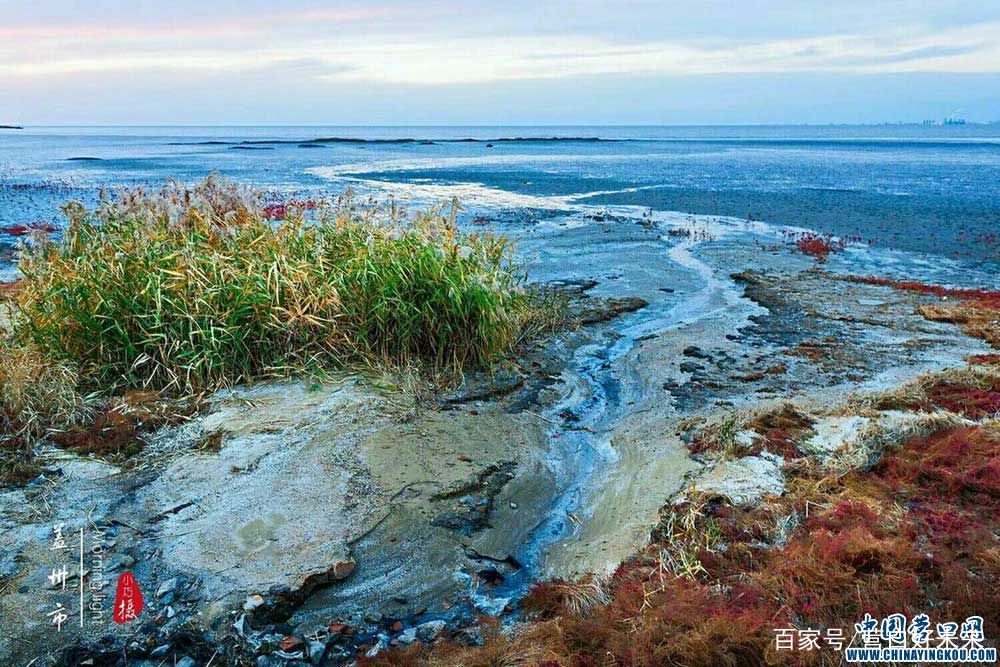 北海的海很美,北海的海和广东的海哪个更美