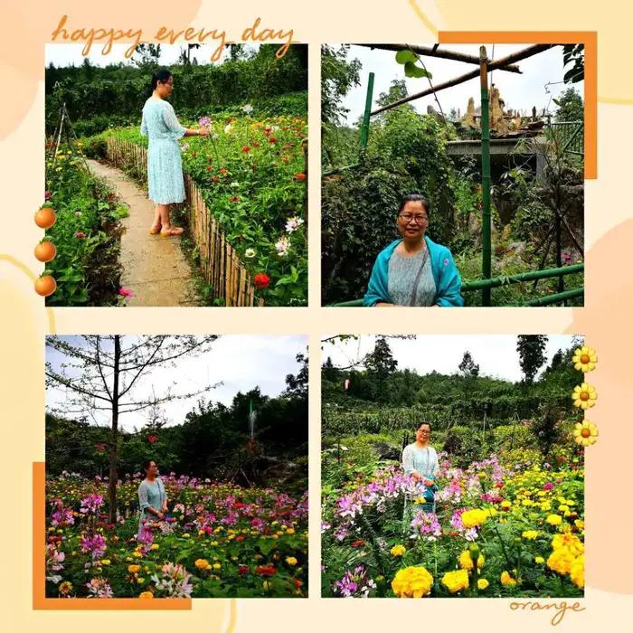 老段和老殷,老段和金段