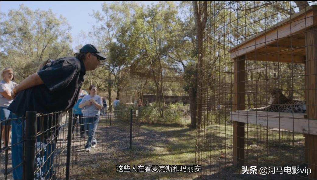 这部魔幻纪录片，在美国竟然比疫情还火！