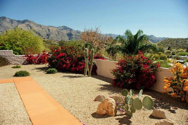 单反镜头里面的霉丝怎么处理,单反镜头进灰