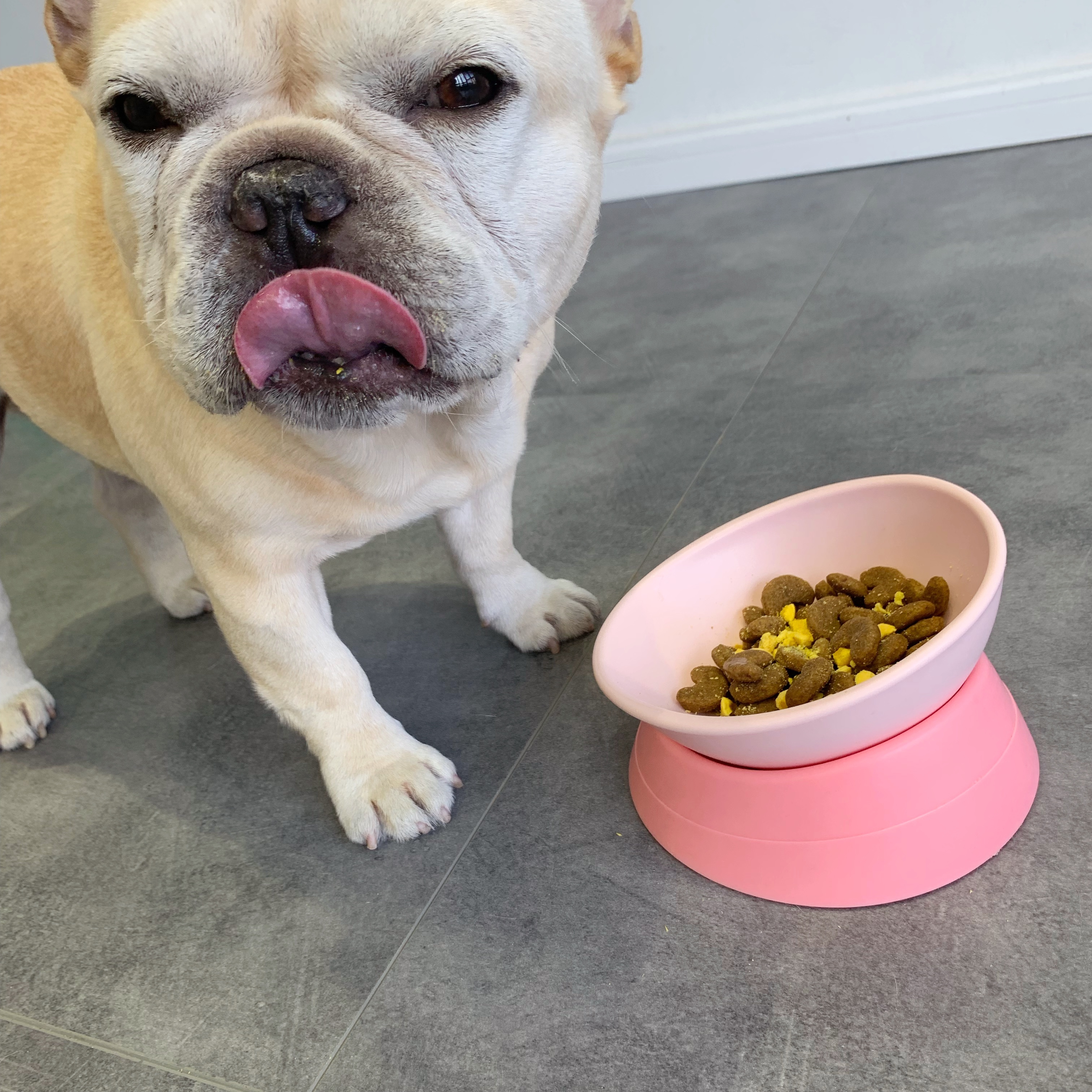 如何挑选一款好的狗粮,如何选择一款优质的狗粮