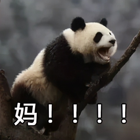 究竟怎样才能早起不困啊,怎么才能早起不困啊