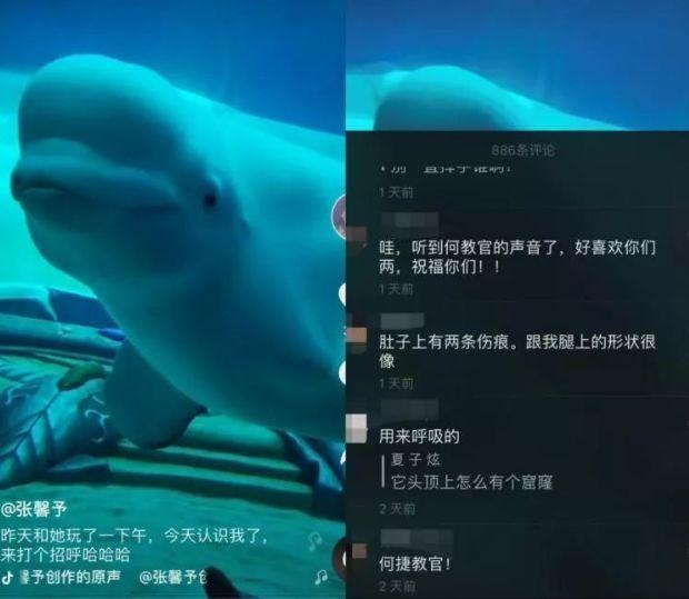 风水轮流转女明星,风水轮流转张馨予