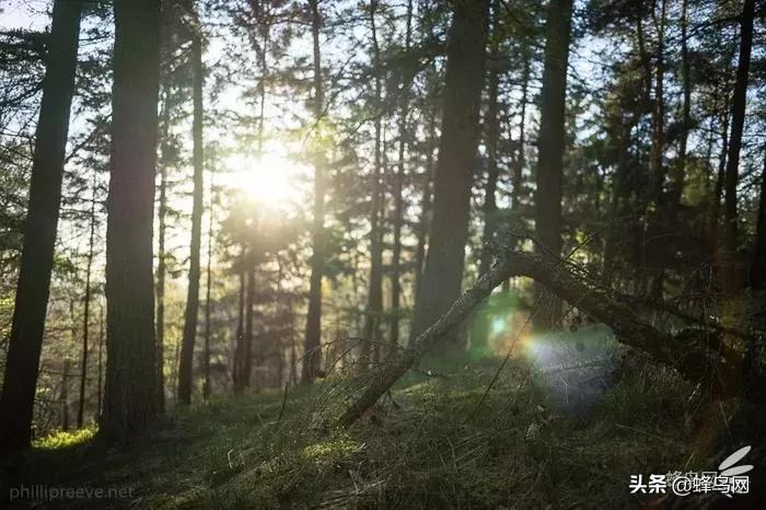 经典广角镜头,那些惊艳众人的封神镜头