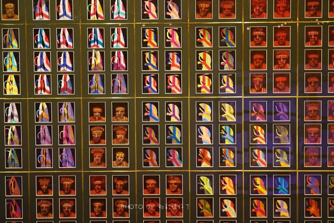 去哪里旅游可以看南极企鹅,旅游攻略南极看企鹅