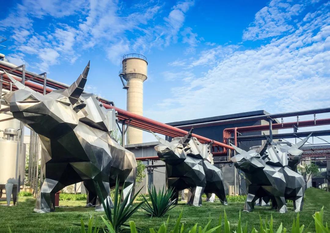 袋鼠达达北京旗舰店,袋鼠达达北京店