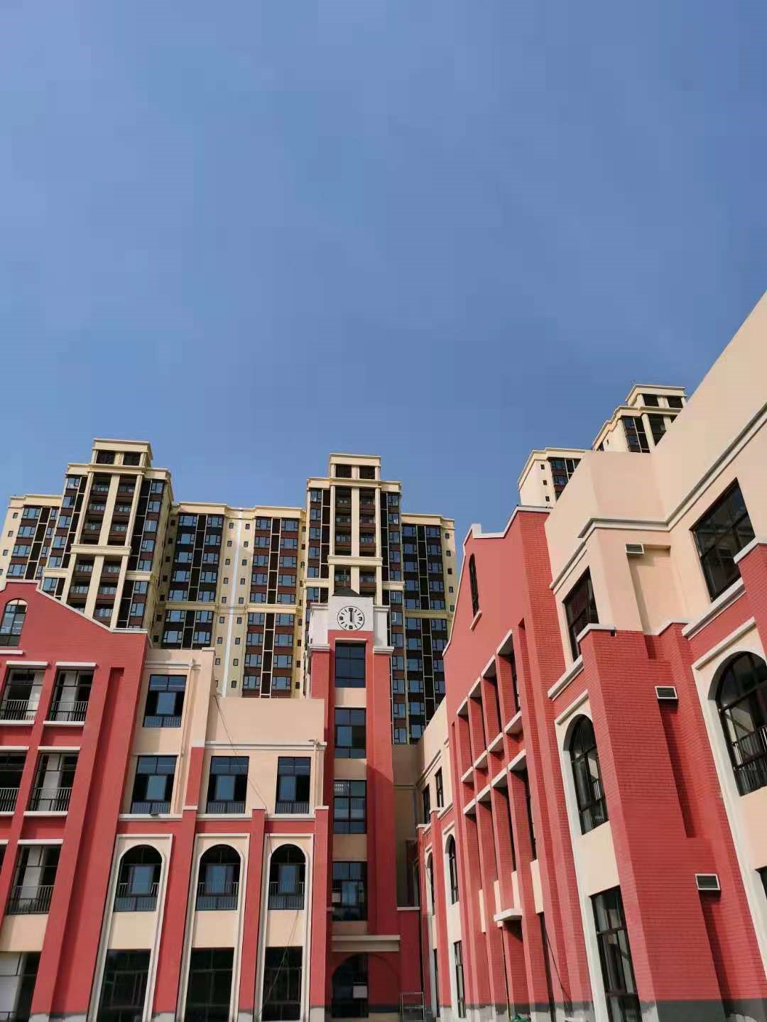 金牛幸福生活图片大全,金牛幸福素材