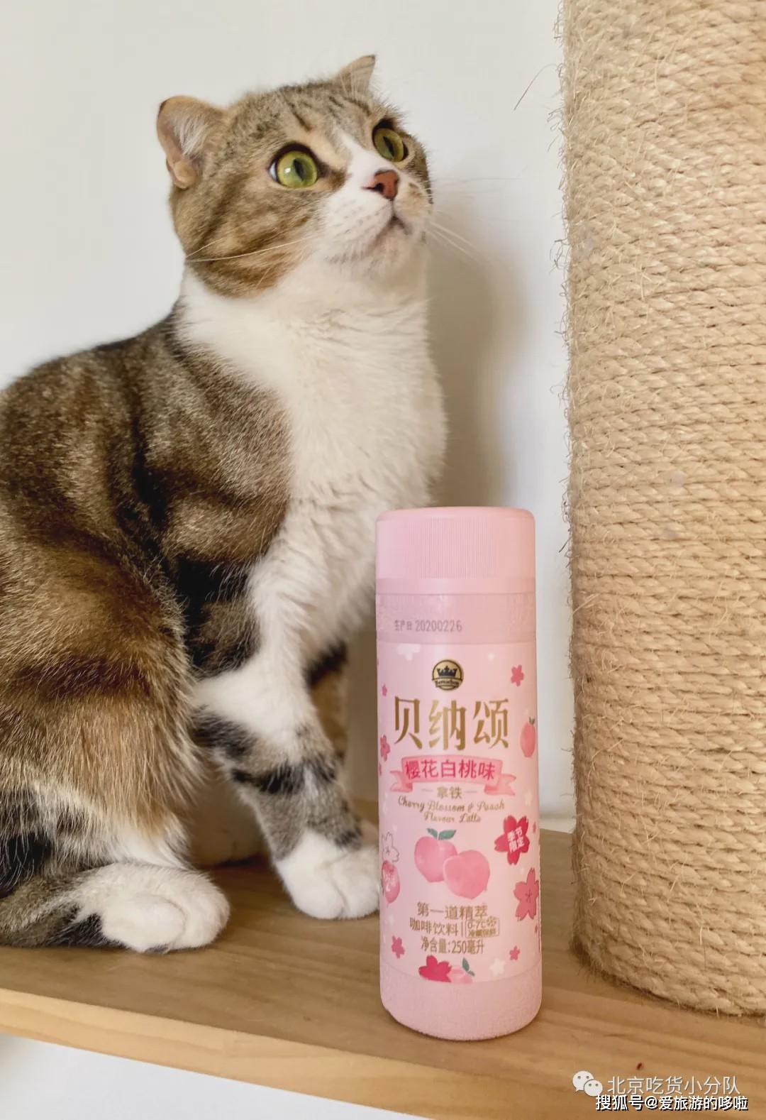 好看的樱花能吃吗,樱花有多好看零食就有多难吃