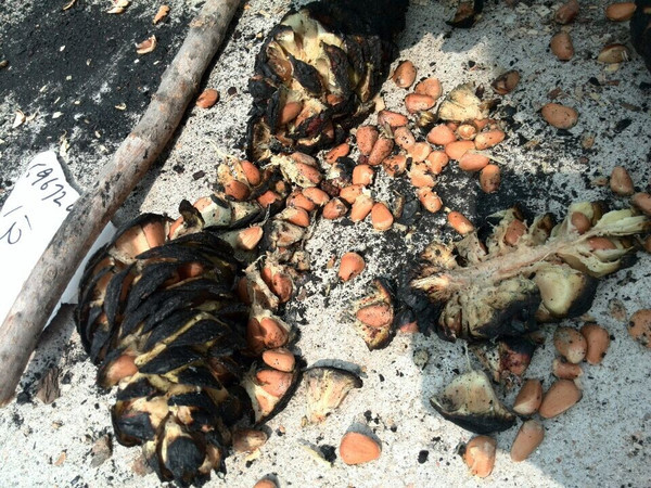 采访18岁的人,8090后的真实童年