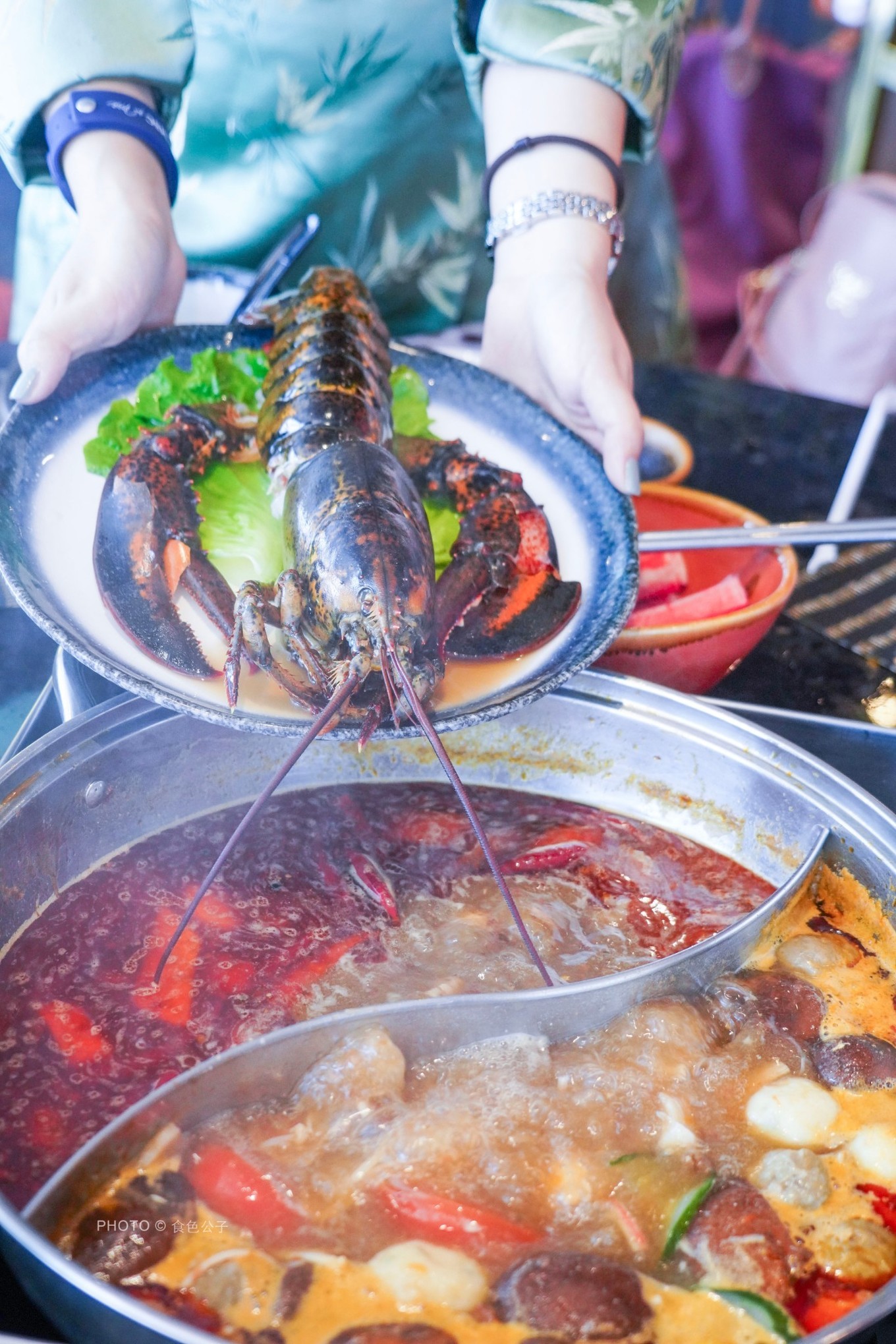 邮轮像海上养猪场,海上养猪场不负盛名