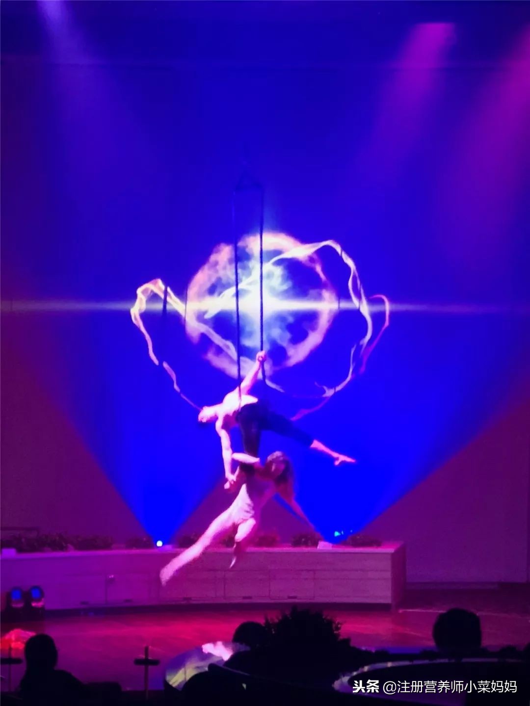 量子号航线攻略,量子号最全攻略