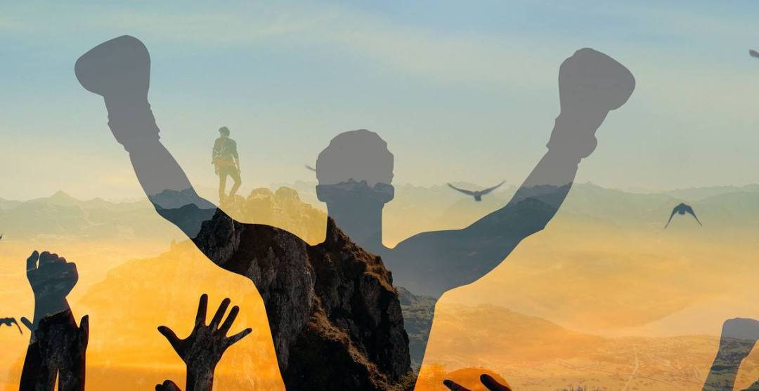 it培训机构应该注意哪些坑,教培机构反对行业歧视