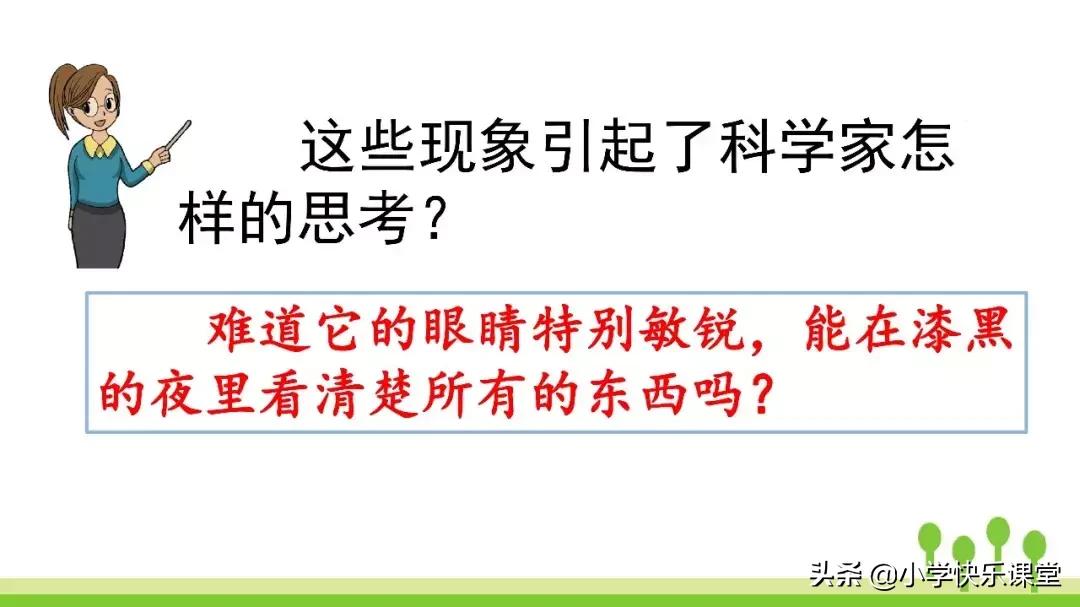 四年级上册语文蝙蝠和雷达课后题,部编版四年级上册语文蝙蝠和雷达
