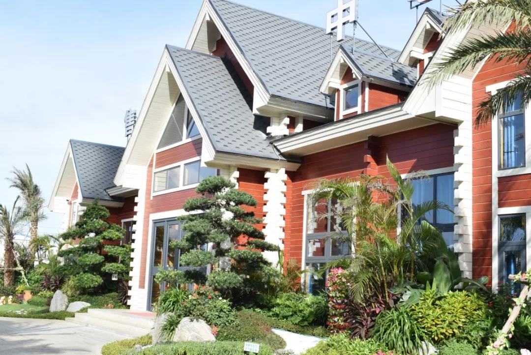 疫情过后将会迎来牛市,疫情后大盘下降