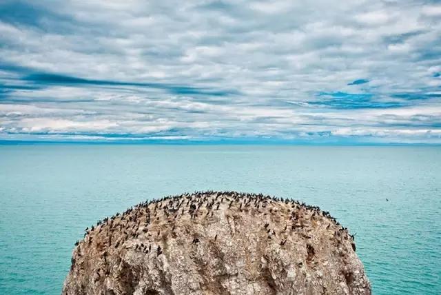 在公路旁随手一拍都是美景,中国有一条公路每一公里都是美景