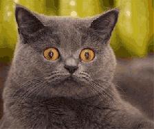 手帐的十大问题,盘点新手入门手帐容易踩的坑