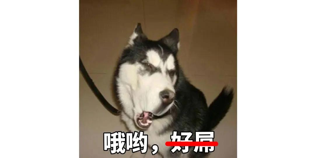 类似使命召唤的低内存fps射击手游,使命召唤手游国服对比