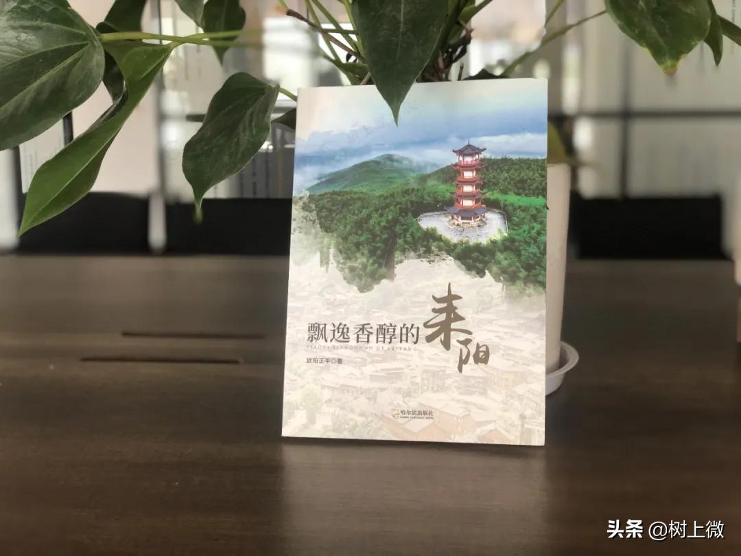 不可错过的美景,不可错过的美丽风景