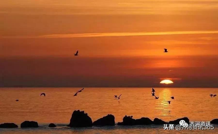 爆发！这个齐河，为何又被济南垂涎？