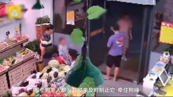 孩子被狗狗吓到了怎么处理,宝宝被自家狗狗咬破皮了但没出血
