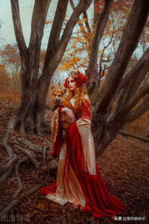 奶奶的故事后续,奶奶的故事40集