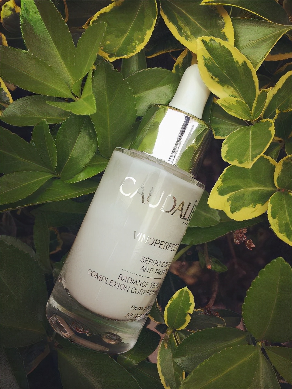 美白精华液推荐美白效果快平价,什么美白精华液好用又明显的效果