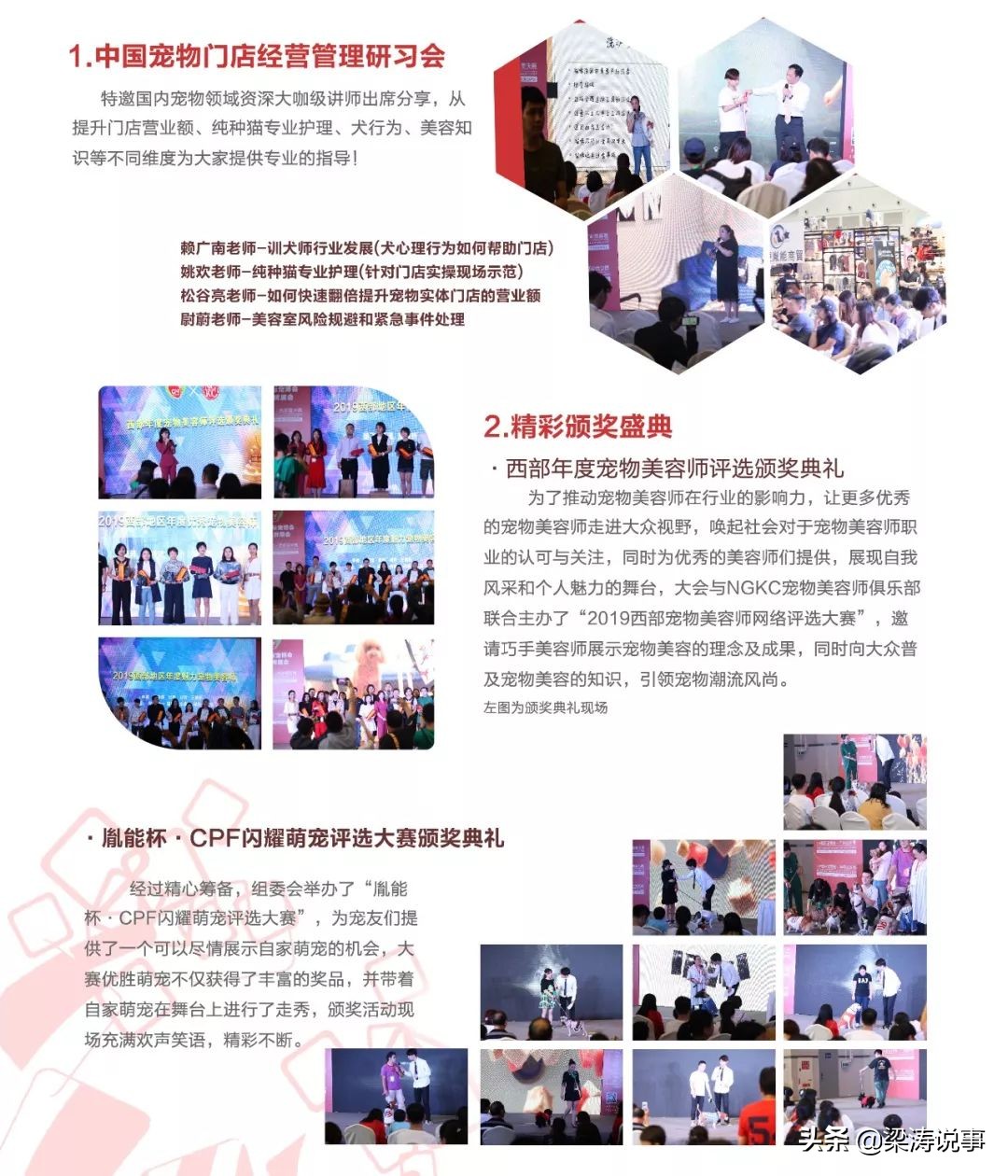 宠物行业有哪些商机可以做,宠物市场有什么商机