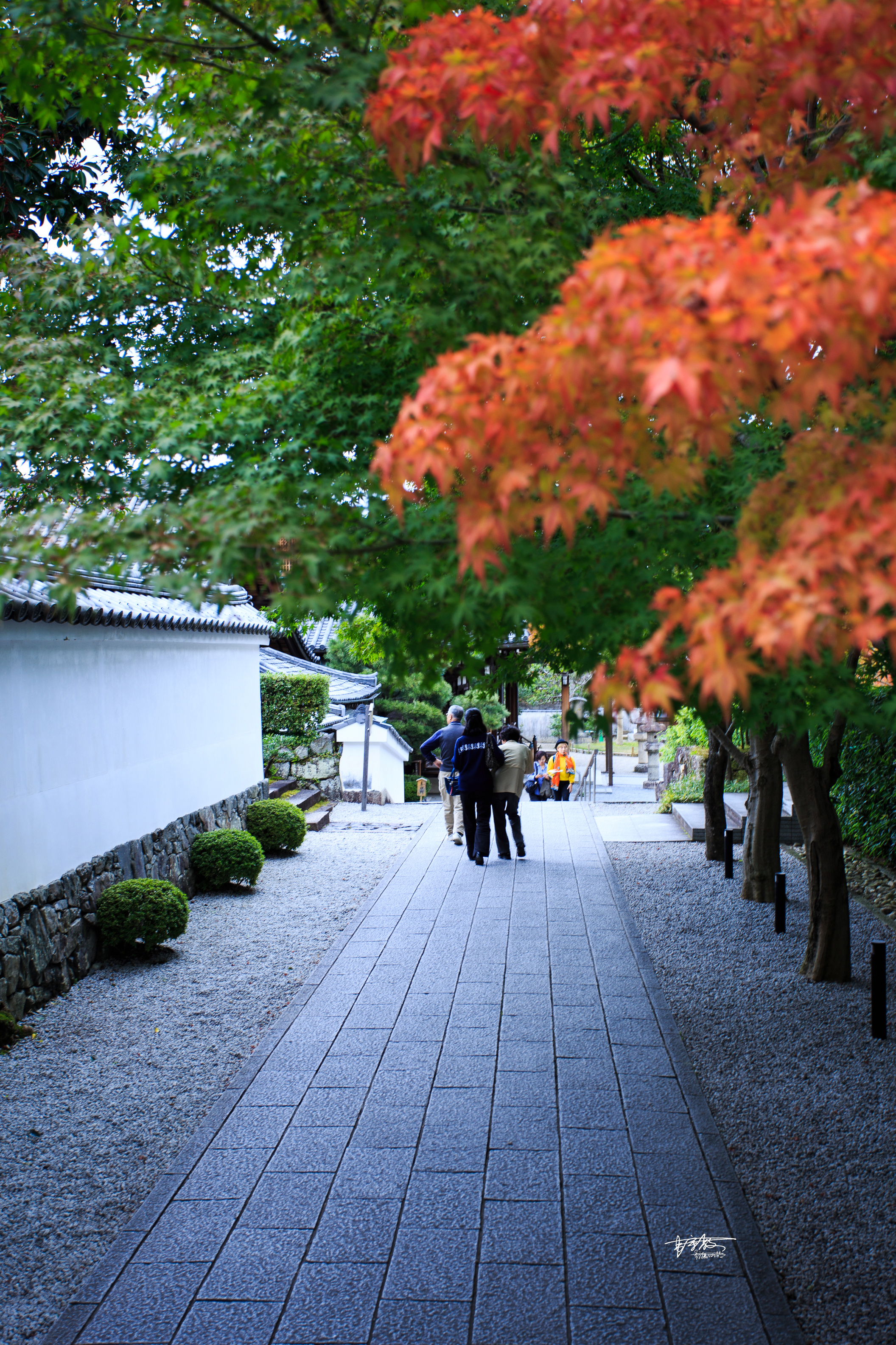 宇治抹茶里有加红豆吗,宇治抹茶牛奶无印