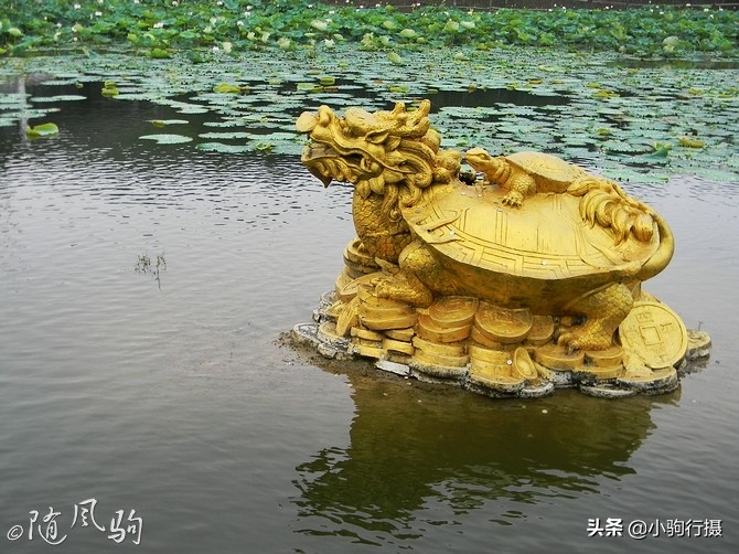 单车骑行无锡,无锡单车骑行路线