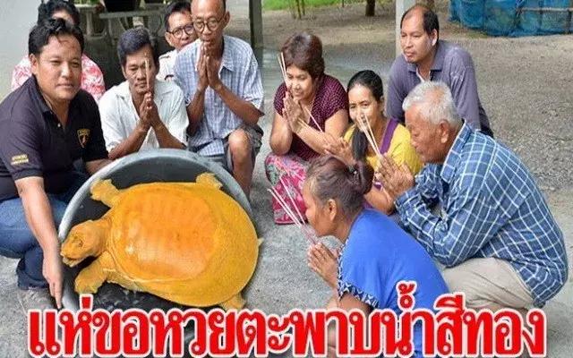 泰国彩票怎么兑奖,泰国彩票开奖方式