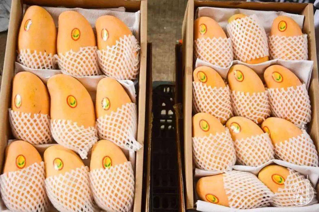 超抵食！在这些市场买水果，20块可以抱走一筐~