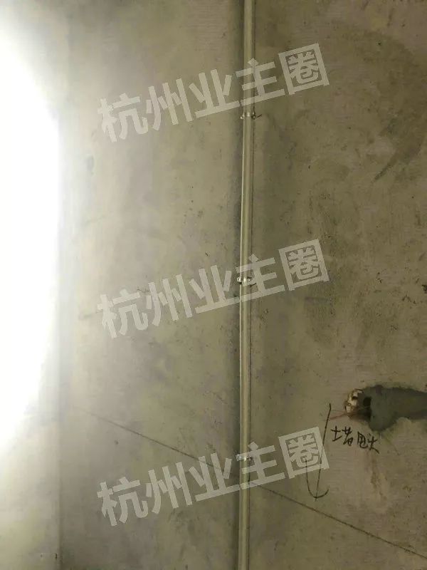 绿都什么意思,绿都包括哪些绿