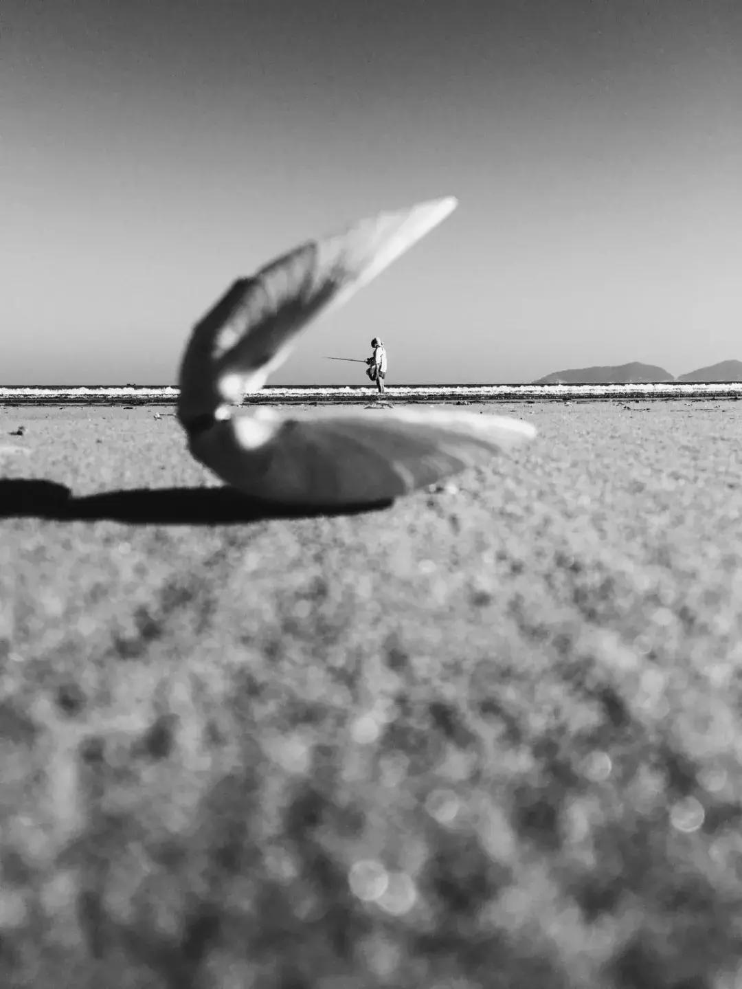 iphone13相机最佳设置,iphone12pro相机设置