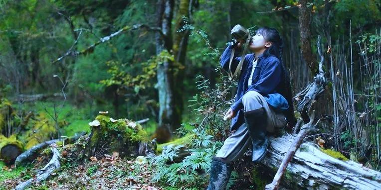 李子柒一年赚168亿背后的真相,李子柒破1000万