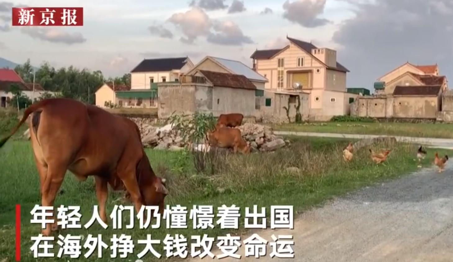 合影9元一张，救救我女儿女婿，71岁老人扮玩偶脱下头套后太心酸