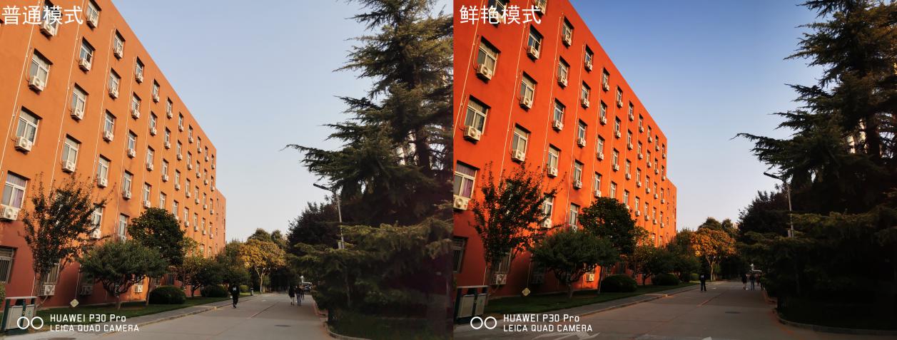 华为p30拍摄高清样张,华为p30最新拍照样张