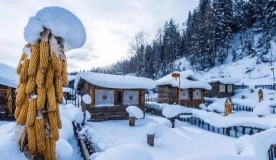 全国方言大比拼你能听懂几句,真正的地道方言