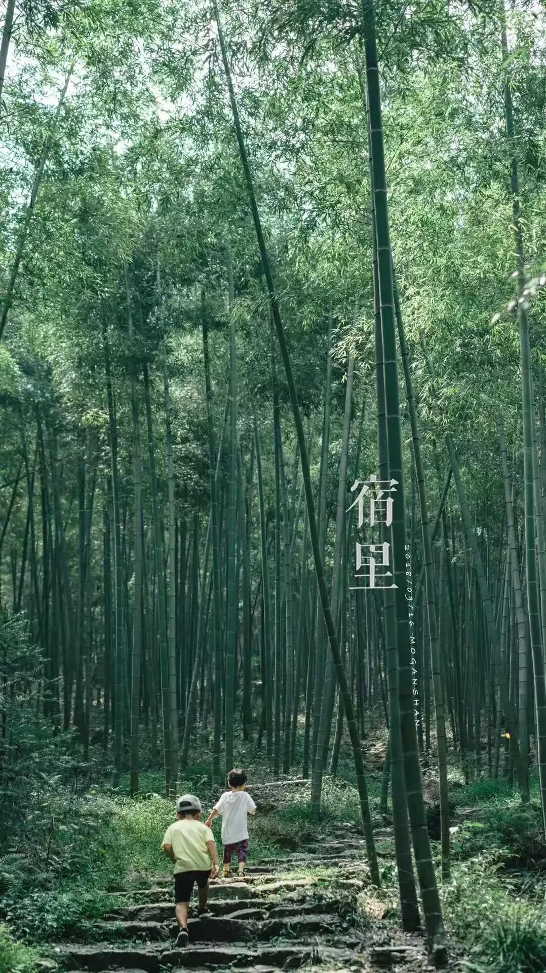 莫干山独一无二的酒店,莫干山像酒店一样的民宿