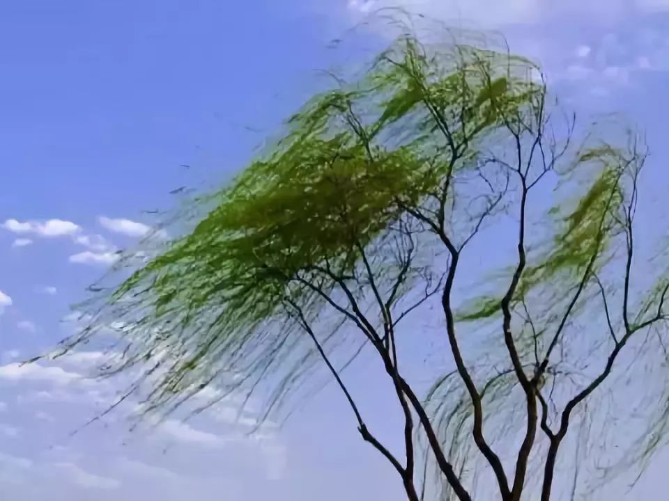 中医基础六邪总结,中医基础理论阴阳谁讲得好