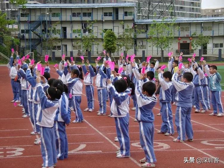 网球深圳哪里有,网球羽毛球棒球哪个最快