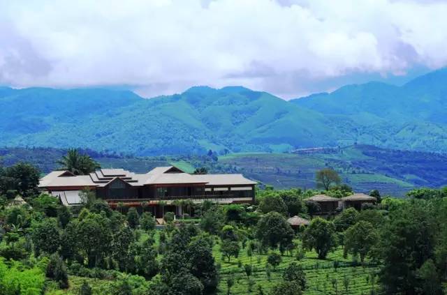 罗莱夏朵简介,罗莱夏朵西班牙