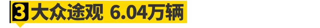 德国人卖最火的车,大众在德国卖得最好的车
