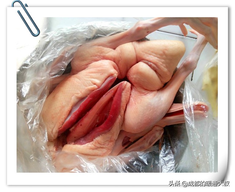 嫩黄豆烧鸭子川菜做法,川菜鸭子烧黄豆