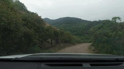 暑假莫干山旅游推荐自驾游,暑假亲子自驾莫干山