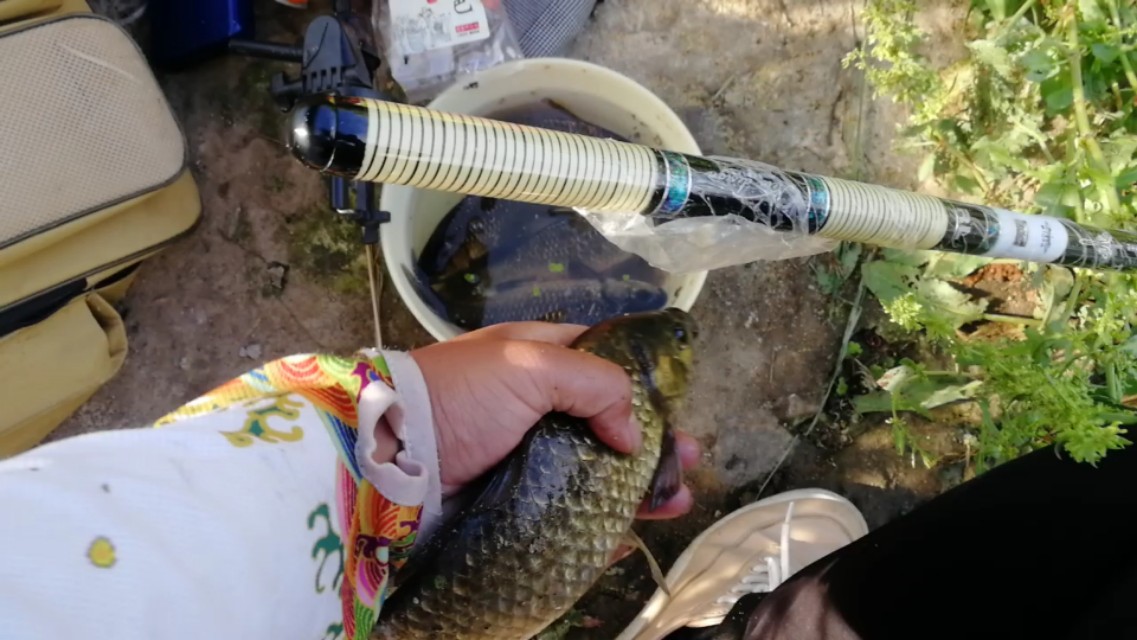 钓鱼子线如何加装防缠绕,钓鱼中子线缠绕技巧