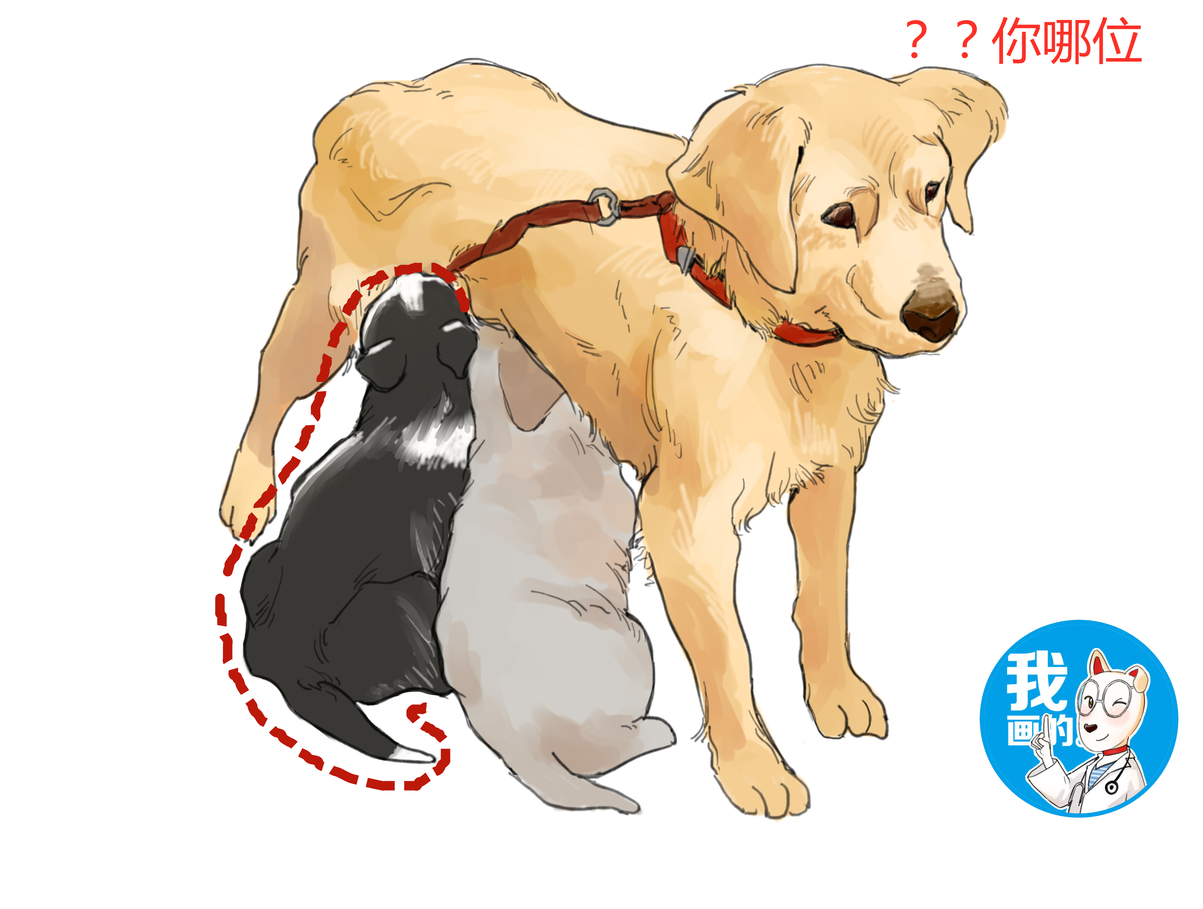 金毛正在喂奶，邻居却发现混入只不明生物，看清后直言要收费